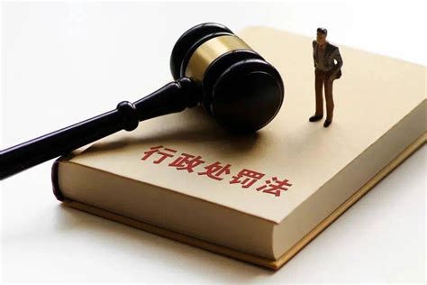 新《中华人民共和国行政处罚法》一图解读