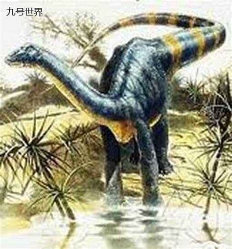 世界十大最小的恐龙，体长不足20厘米！|体长|恐龙|化石_新浪新闻