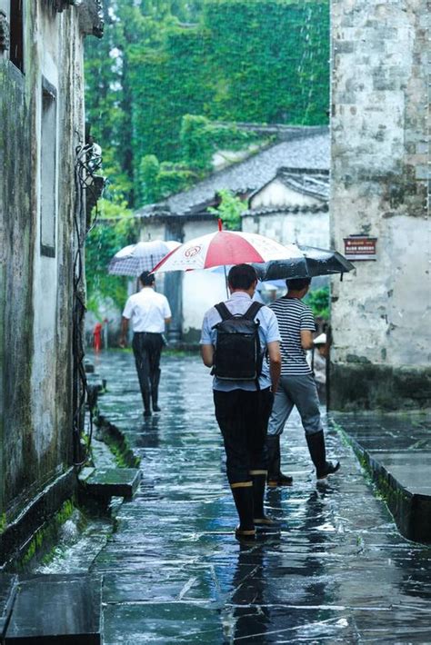 随拍家乡的雨后天晴 - 随手拍新影像 不止所见 花粉俱乐部