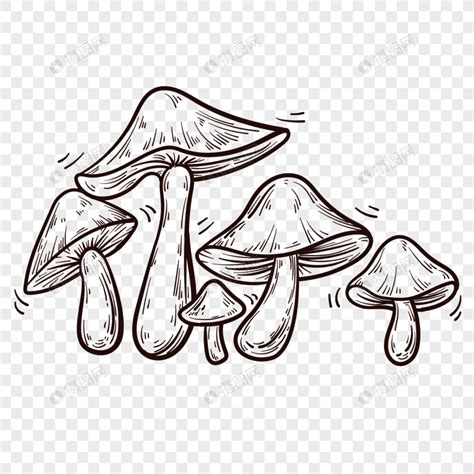 蘑菇简笔画图片大全-露西学画画