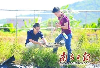 安阳市举行2022年高素质农民创业创新大赛-河南农业科技信息网