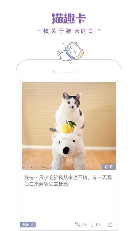 爱猫公社手游-爱猫公社游戏(暂未上线)v1.0 安卓版-绿色资源网