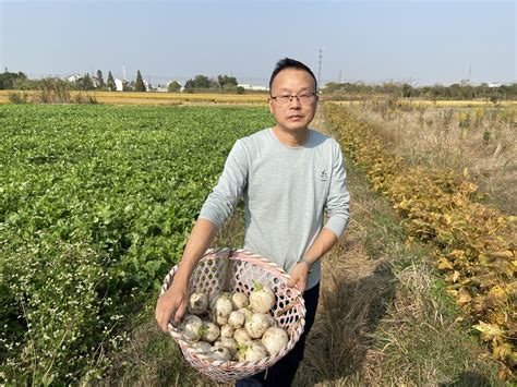 镇江丹阳：非遗特产——陵口萝卜干_战“疫”带货 有“我”代言