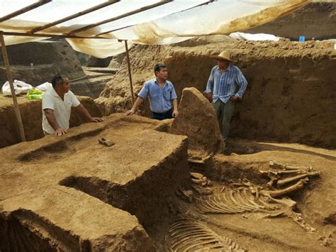 荆州现西汉古墓 考古发掘现场目睹千年秘密|西汉古墓|考古发掘|荆州_新浪新闻