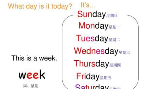 星期一到星期日的英语单词怎么读？