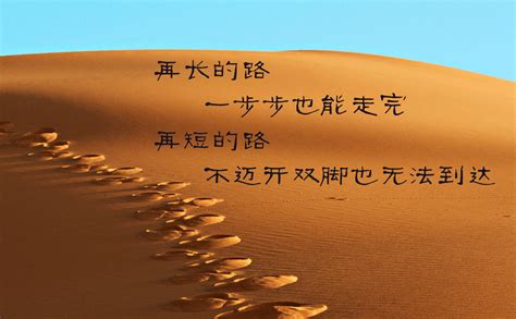描写沙漠的句子(精选80句)-Word模板下载_编号looenjak_熊猫办公