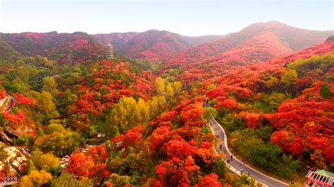 自驾秦岭深处秋季最美太洋路，看浪漫红叶美丽黄柏塬_公路