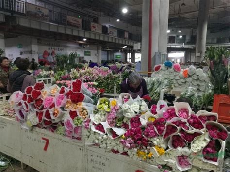 中国6大花市，全国最大的花卉批发市场介绍~_盆景