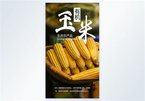 【喜讯】公司选育并经营的玉米新品种成玉1901和成玉886通过陕西省引种备案 - 河南大成种业有限公司