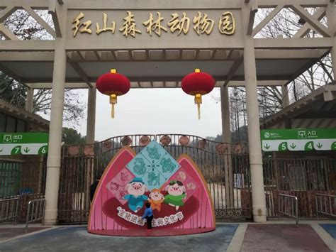 南京红山森林动物园导览图_图游江苏_江苏旅游网
