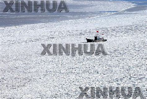 大连黄渤海海冰融化 形成海面浮冰 - 海洋财富网