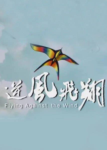 逆风飞翔-电影-高清在线观看-百搜视频