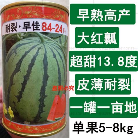 西瓜种子-8424价格质量 哪个牌子比较好