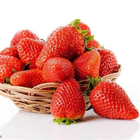 今日草莓品牌视觉系统-上海因心_INHEART上海因心-站酷ZCOOL