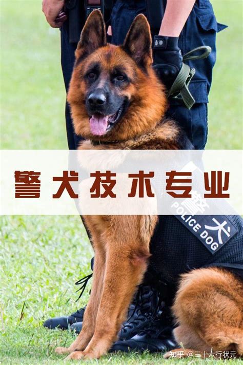法学篇（公安学类）—警犬技术专业 - 知乎