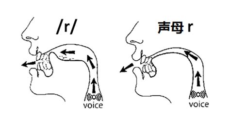 中播网 —— 方言地区学习普通话声母应注意什么？