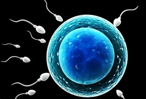 3D动画演示精子和卵子结合全过程，看完涨知识！