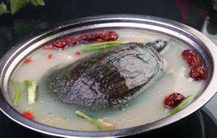 铁板甲鱼有多残忍（做法如此残忍，怪不得被禁止食用！这10大"禁菜"，有你听说过或见识过的吗？） | 说明书网