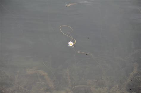 泸沽湖除了美，还有“水性杨花”-高清图集-中国天气网