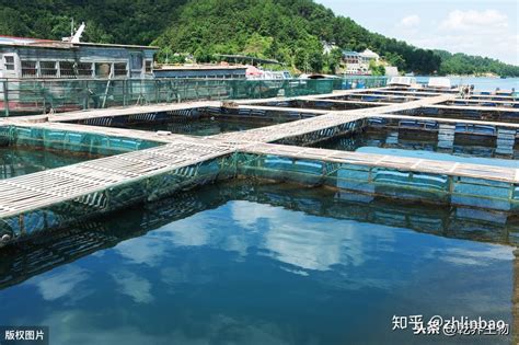 2020年中国水产品行业市场发展现状分析 2020年中国水产品产量略有增长_研究报告 - 前瞻产业研究院