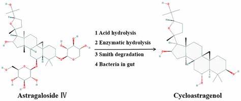 A schematic for cycloastragenol synthesis. | Download Scientific Diagram