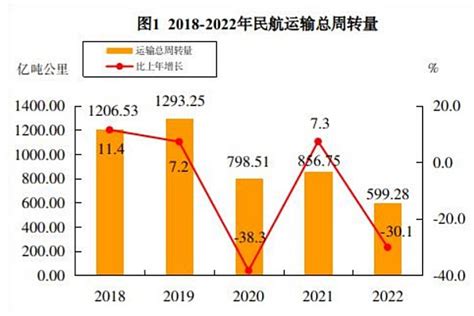 2020年中国民航行业分析报告-市场深度调研与发展趋势研究_观研报告网