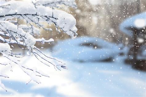 冬季冰晶雪花蓝色雪景背景背景图片下载_4724x2362像素JPG格式_编号zqwfr7myz_图精灵