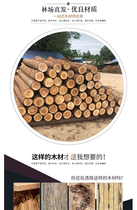 全国出售杉木桩落叶松木桩松木桩4米5米6米7米园林绿化河道打桩木-阿里巴巴