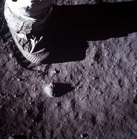 NASA阿波罗登月计划多张罕见照片曝光，宇航员50年前就爱自拍|阿波罗|宇航员|月球_新浪新闻