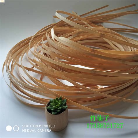 “木头大王”胡良兵《ACS Nano》：竹子如何“炼”成高性能结构材料？