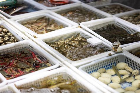 实拍海口最大的海鲜市场，海鲜的种类琳琅满目，就是价格有点不美丽_腾讯视频