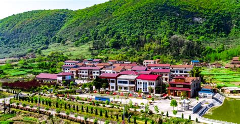 阳新乡村振兴战略出炉——让农村成为安居乐业的美丽家园-阳新县人民政府