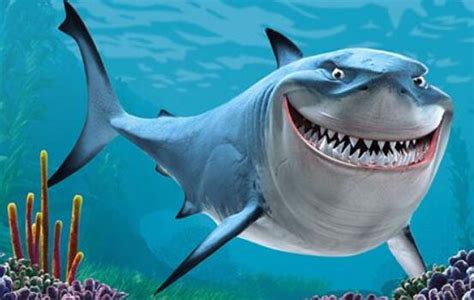 鲨鱼是什么动物类型?这是一种什么样的生物_探秘志