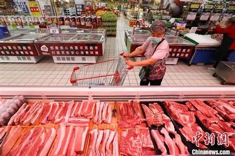进口冷冻肉类产品申报指南-冷冻肉进口外贸代理|上海外贸进出口公司