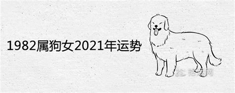 1982属狗未来5年运势，1982年狗在2023年的运势-发号台