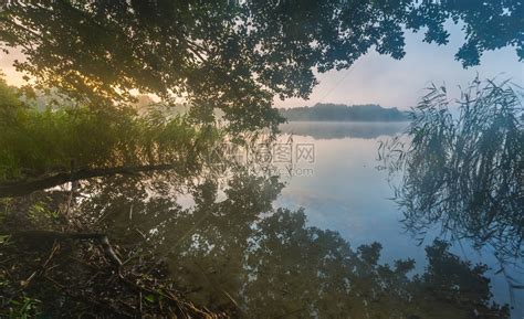 朦胧的湖面上美丽的日出有雾的早晨在Mazury湖区的湖上高清图片下载-正版图片507194303-摄图网