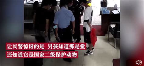 浙江台州温岭15岁男孩小王要交给警察叔叔一只4眼蓝血甲壳小怪物 - 社会 - 华网