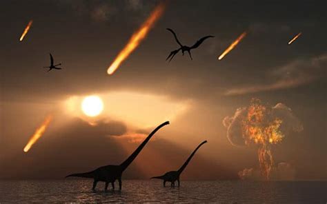 恐龙存在1.6亿年灭绝，人类会存在多久灭绝？答案早已注定|人类|恐龙|灭绝_新浪新闻