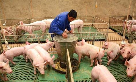 牧原股份：三月份以来公司生猪销售价格有所上涨，预计三季度至四季度猪周期拐点将会来临 - 猪好多网