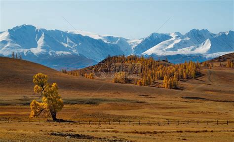 俄罗斯阿尔泰山高清图片下载-正版图片504610400-摄图网