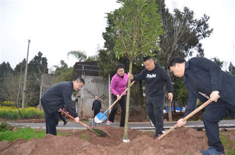 乐至县开展“3·12”植树活动，推进全域绿化 - 资阳市自然资源和规划局
