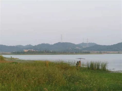 10亿元！九江要建一座湿地公园 你家会沾光吗？_手机新浪网