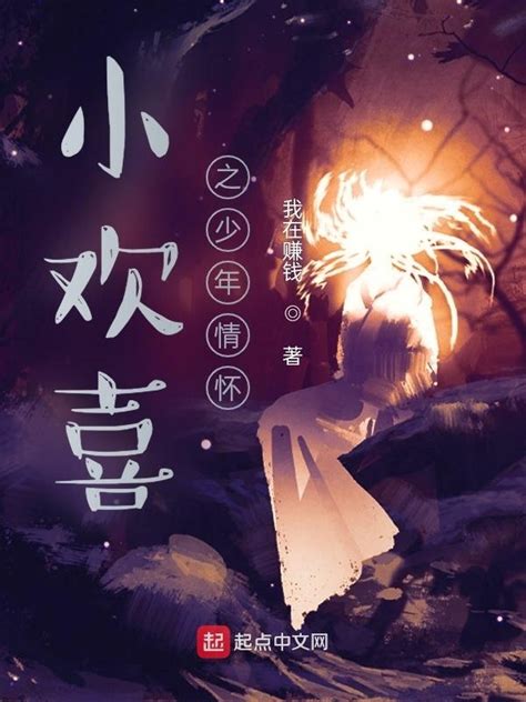 《小欢喜之少年情怀》小说在线阅读-起点中文网