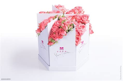 COCO FIORI组合式创意鲜花品牌纸包装设计 [30P]