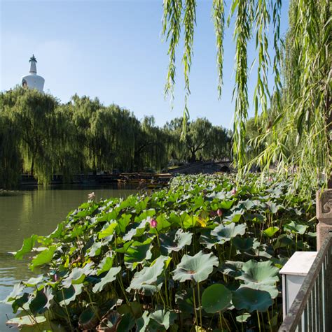 北海公园（北京4A级旅游景区）_百度百科