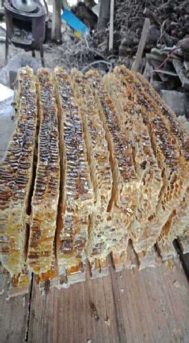 土蜂蜜批发和零售价格多少钱一斤？