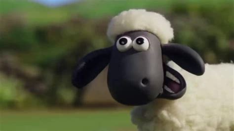 小羊肖恩第三季30：小羊找到了新玩具，可把主人给吵坏了