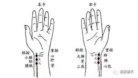 人迎脉位置图解图片