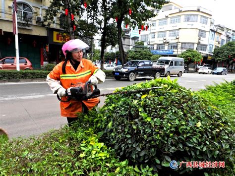 巾帼园艺绿化队 开工装扮街道美 - 广西县域经济网