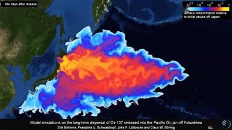 日本核污水排入大海影响有多大？研究显示：57天将污染半个太平洋！ | 北晚新视觉